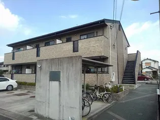 サンシャイン花の木の画像
