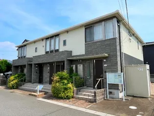 ベラ ルーチェの画像