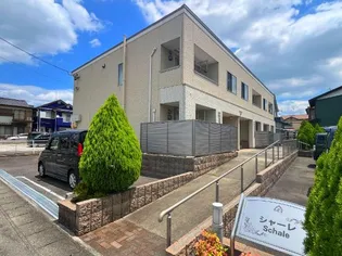 シャーレの画像