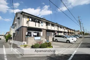 セードル 杉の画像