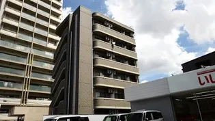 アンソレイエYの画像