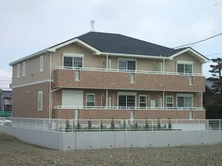 フェスティバルの画像