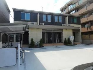 バーベナの画像