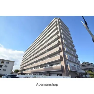 フィール清船の画像