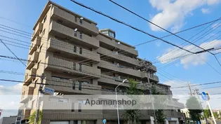 グレイス伸和の画像