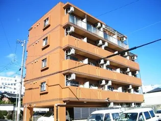 シティライフ星ヶ丘【5階】の外観