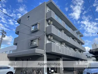 アヴァンティヤシロダイの画像