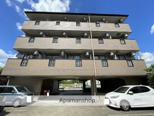 アネシスの画像