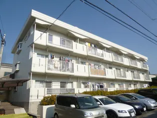 インターコーポ藤の画像