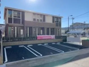 サンフラワーの画像