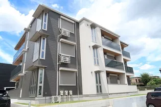 TMSエストの画像