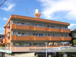 コーポラス糸の画像