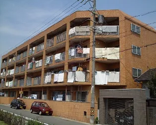 オオタかなれ川ハイツ【3階】の外観