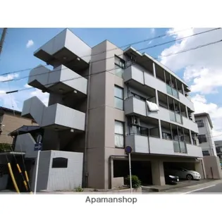 カッコルディの画像