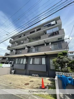 ルミナスパルビラの画像