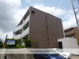 ウェルトータスの画像