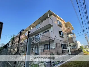 第2トータスの画像