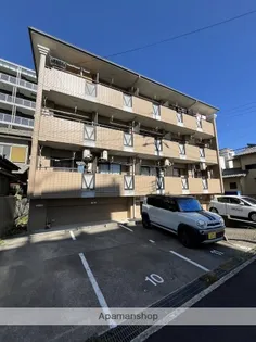 カターラサンミの画像