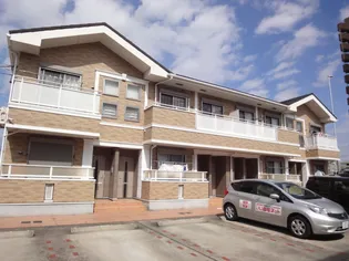 プリムローズの画像