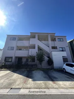 ティメールの画像