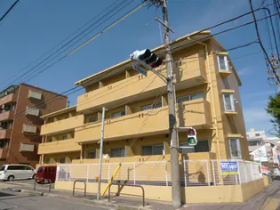 TOWNコスモスの画像