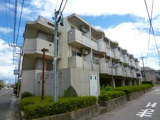 アルフエイムの画像