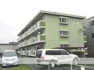 シャンポールミヤの画像