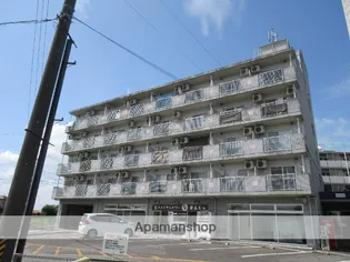 ステップVIIIの画像