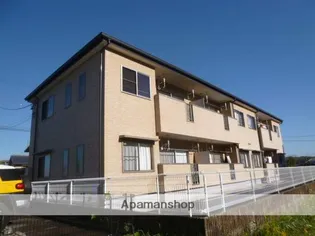 アムール神ノ木の画像