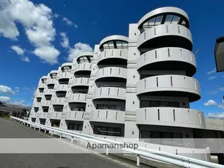 プリメーラMTの画像