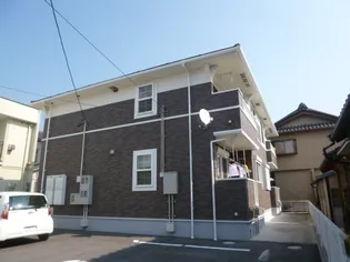 クローバーの画像