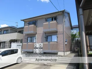 セジュール弦の画像