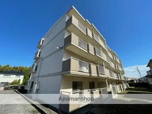 シャルードSの画像