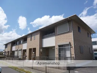 ベルリード弥生の画像