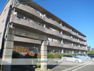 サンシャインイトウの画像