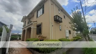 プラシードの画像