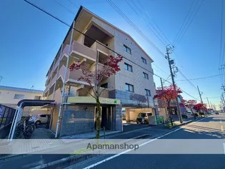 ベアーバレーMの画像