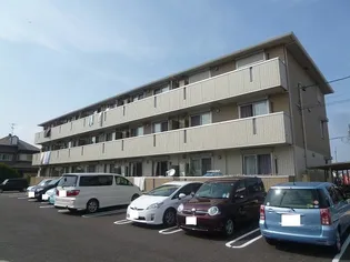 レグルス ボーグの画像