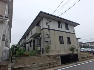 ハイカムールエリアBの画像