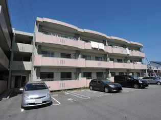 PASTORAL岡崎柱の画像