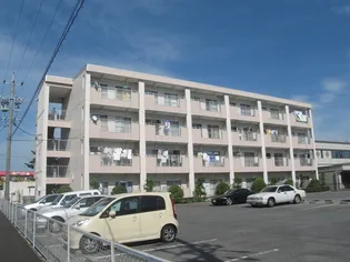 サウスウィンドの画像