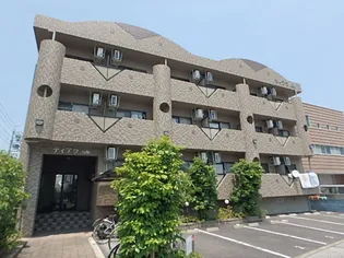 ティアラ八帖の画像