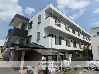 M あしたばの画像