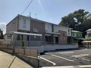 ジュネス真伝の画像