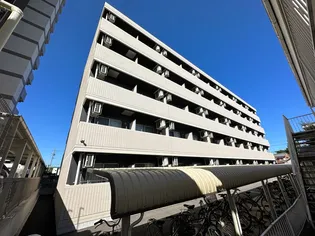 A・CITY八帖【501号室】の外観