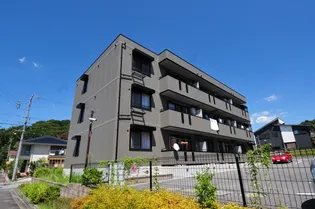 グロース レイ Aの画像