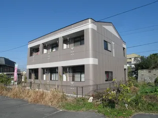 レインボーヒルズS’【203号室】の外観