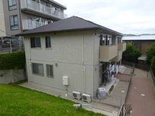 グレイスの画像