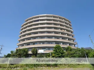 セラヴィ坂崎の画像