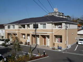 ピソ フロールの画像